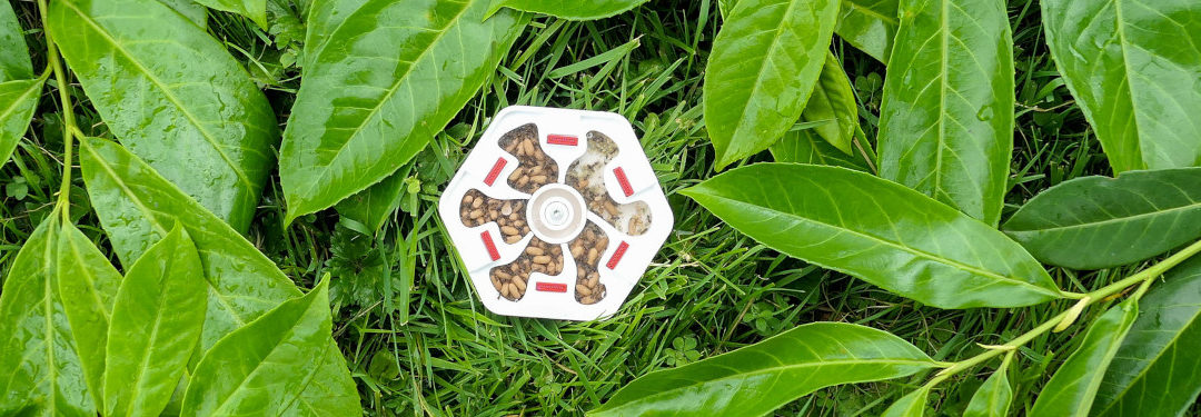 Condensation en fourmilière : comprendre et agir sereinement