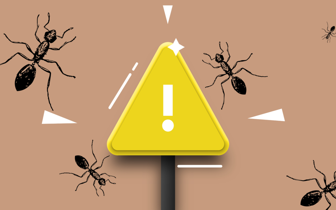 Quelle est la fourmi la plus dangereuse ?