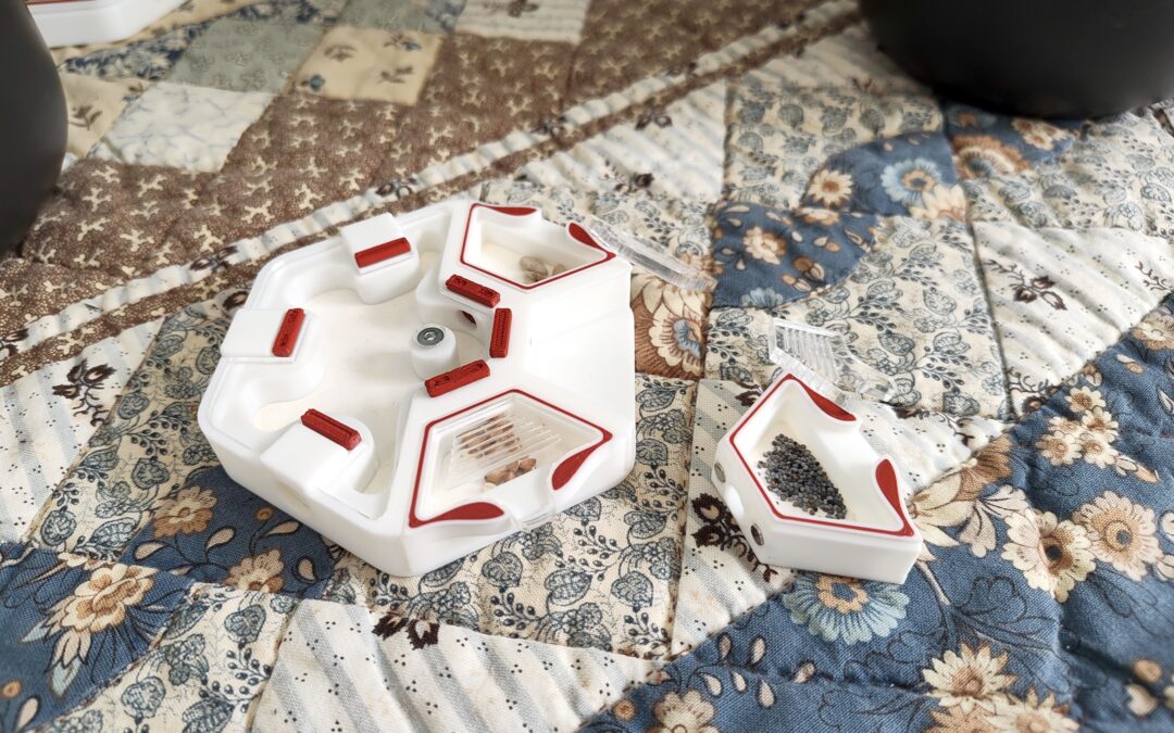 Alveo Nano Experia : observer, exp&eacute;rimenter et apprendre